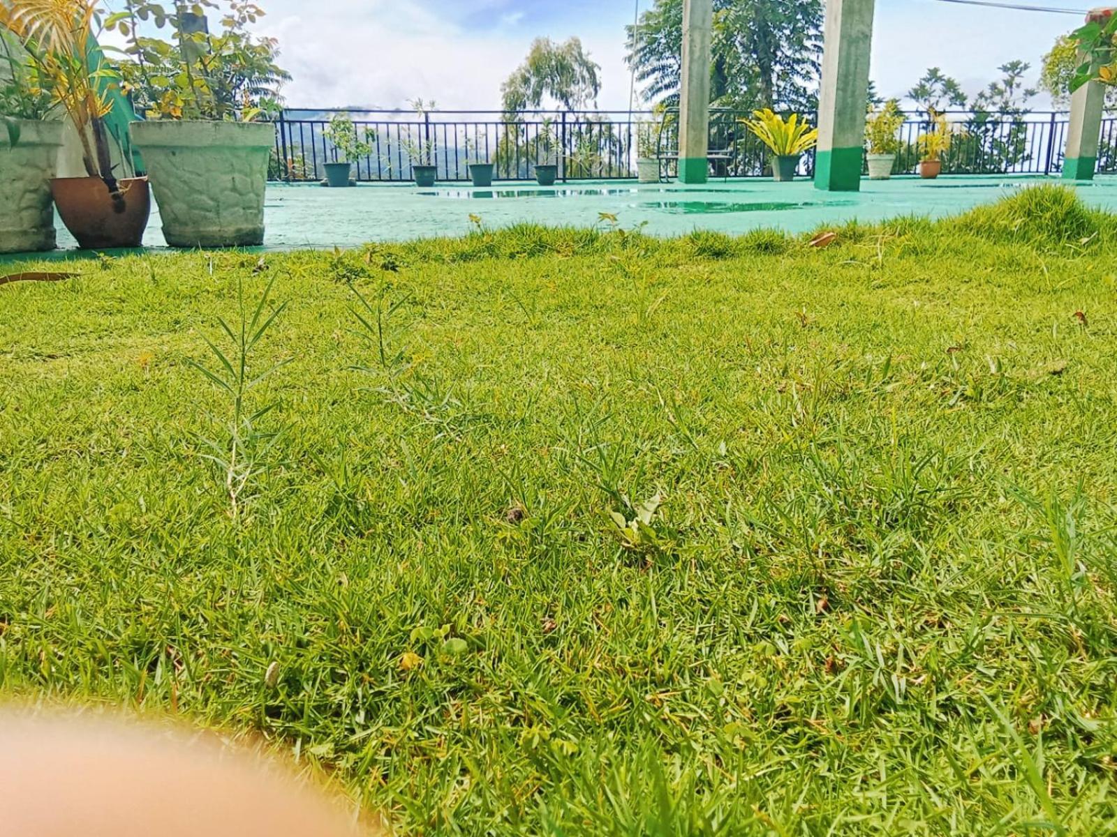Maple Home Stay Ella Zewnętrze zdjęcie